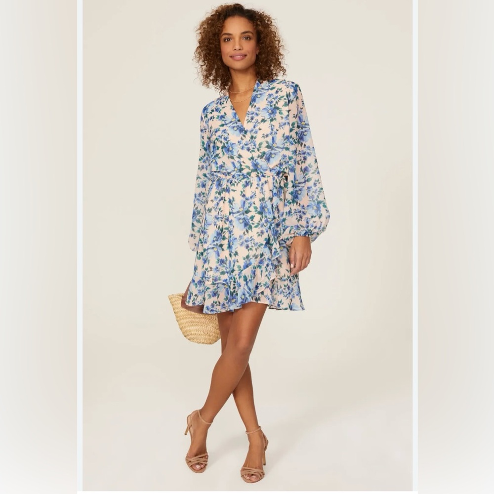 Alexia Admor blue floral chiffon dress, long sleeve, size 2, EUC